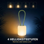 Grüne Leuchte mit verschiedenen Lichtdarstellungen